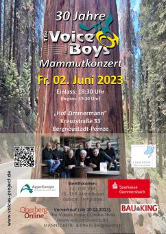 The Voice Boys - Mammutkonzert - 02.06.2023 