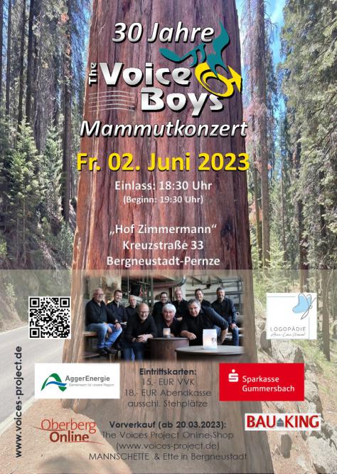 The Voice Boys - Mammutkonzert - 02.06.2023 